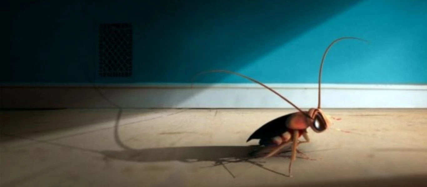 Πως να αντιμετωπίσετε τις κατσαρίδες – Φυσική παγίδα με καφέ